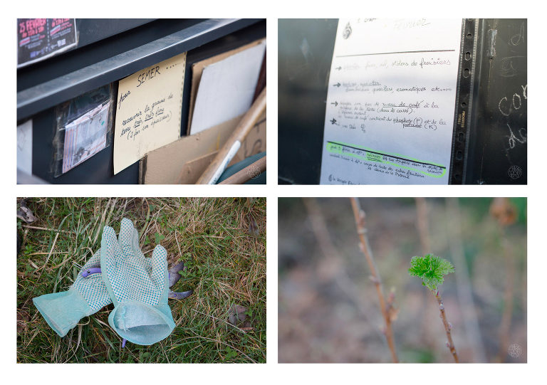 photographe lifestyle, photographe professionnelle, portrait, Chloe Perez photographie, photographe de vie, photographe Grenoble, photographe Isère, photographe rhone alpes, reportage photo, verger essenciel, séance photo authentique, photo-thérapie, projet Figures Maison des habitants Chorier Berriat, verger collectif, séance photo lifestyle