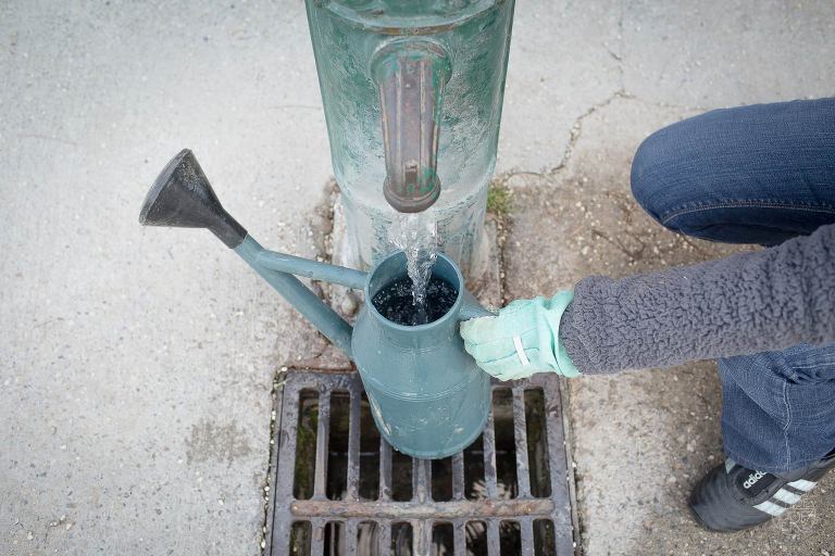 photographe lifestyle, photographe professionnelle, portrait, Chloe Perez photographie, photographe de vie, photographe Grenoble, photographe Isère, photographe rhone alpes, reportage photo, verger essenciel, séance photo authentique, photo-thérapie, projet Figures Maison des habitants Chorier Berriat, verger collectif, séance photo lifestyle