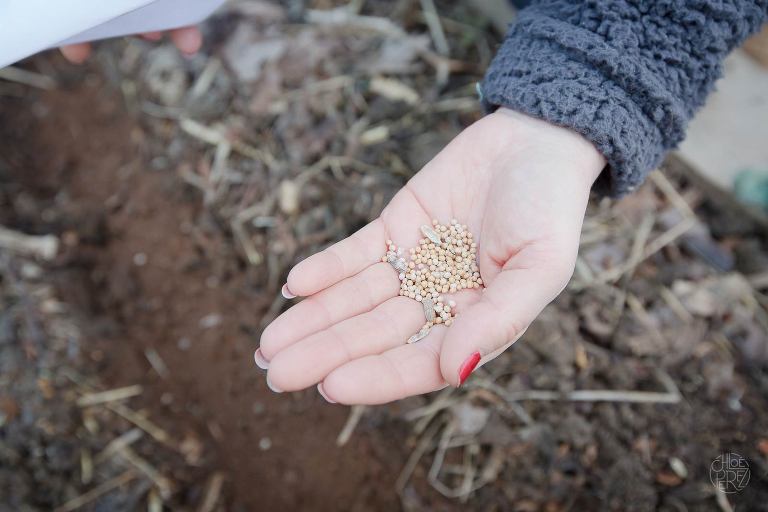 photographe lifestyle, photographe professionnelle, portrait, Chloe Perez photographie, photographe de vie, photographe Grenoble, photographe Isère, photographe rhone alpes, reportage photo, verger essenciel, séance photo authentique, photo-thérapie, projet Figures Maison des habitants Chorier Berriat, verger collectif, séance photo lifestyle