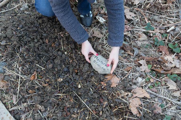 photographe lifestyle, photographe professionnelle, portrait, Chloe Perez photographie, photographe de vie, photographe Grenoble, photographe Isère, photographe rhone alpes, reportage photo, verger essenciel, séance photo authentique, photo-thérapie, projet Figures Maison des habitants Chorier Berriat, verger collectif, séance photo lifestyle