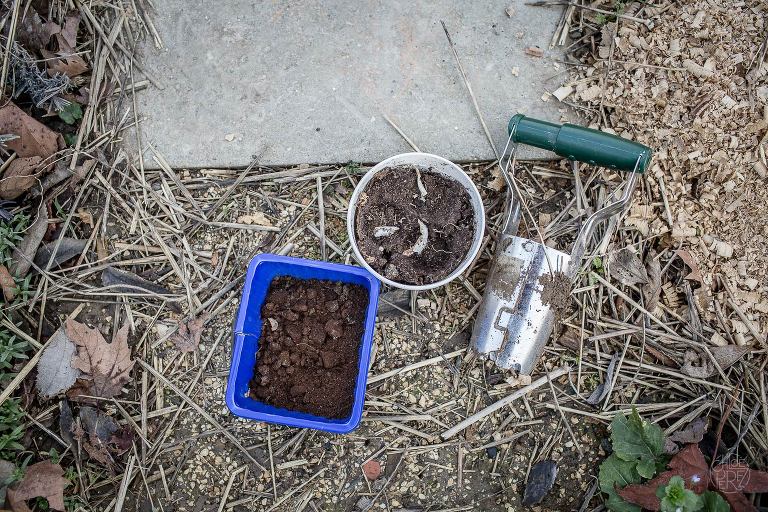 photographe lifestyle, photographe professionnelle, portrait, Chloe Perez photographie, photographe de vie, photographe Grenoble, photographe Isère, photographe rhone alpes, reportage photo, verger essenciel, séance photo authentique, photo-thérapie, projet Figures Maison des habitants Chorier Berriat, verger collectif, séance photo lifestyle