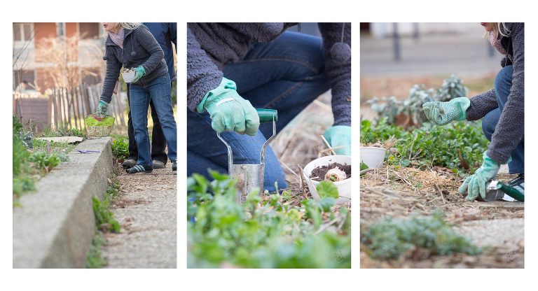 photographe lifestyle, photographe professionnelle, portrait, Chloe Perez photographie, photographe de vie, photographe Grenoble, photographe Isère, photographe rhone alpes, reportage photo, verger essenciel, séance photo authentique, photo-thérapie, projet Figures Maison des habitants Chorier Berriat, verger collectif, séance photo lifestyle