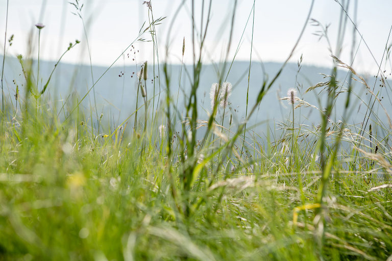 Chloé Perez photographie, lifestyle, reportage photo, séance couple, sur les traces de leur histoire, photographe de vie, ballade dans le vercors, photographe professionnelle, photographe d'émotions, Rhône-Alpes, Isere,séance photo authentique,
